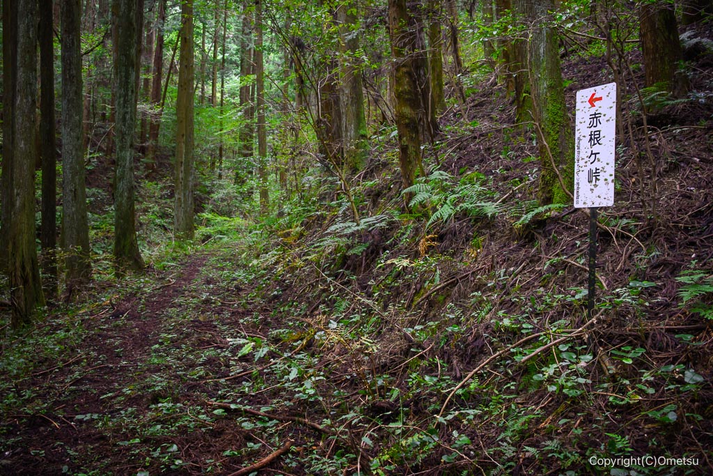飯能・柏木山、穴郷付近の赤根ヶ峠道標