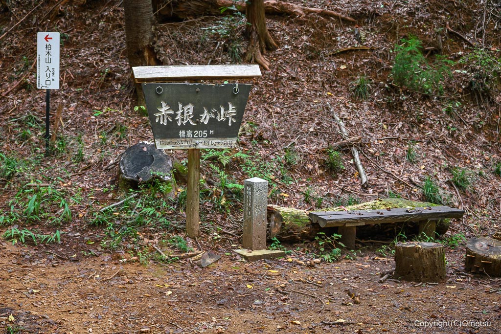 飯能・柏木山、赤根ヶ峠