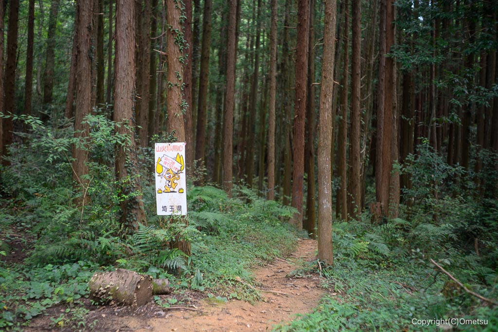 飯能・柏木山、赤根ヶ峠の道