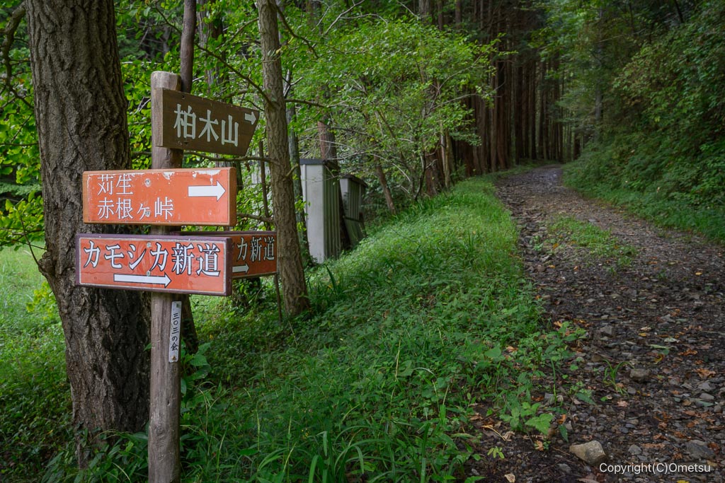 飯能・柏木山、カモシカ新道道標