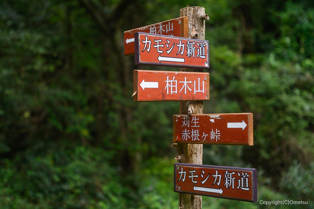 飯能・柏木山、カモシカ新道道標
