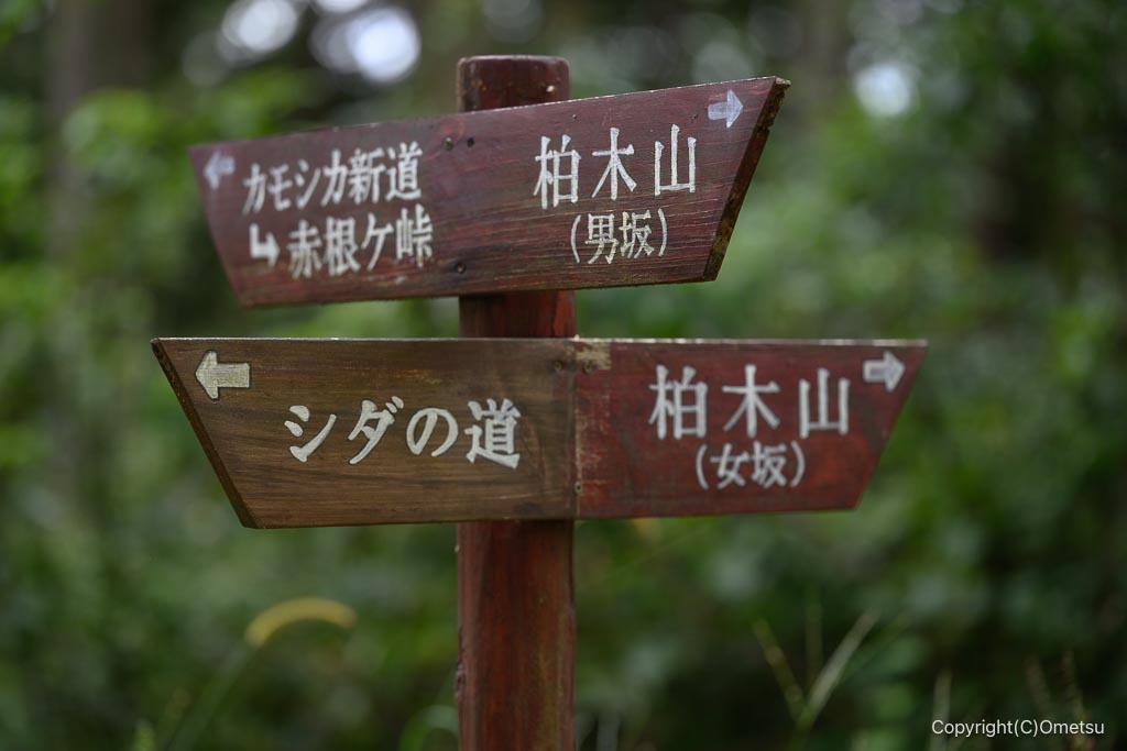 飯能・柏木山、女坂・男坂分岐