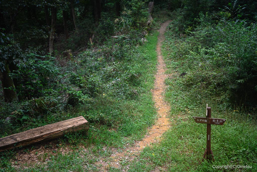 飯能・柏木山、女坂・男坂分岐