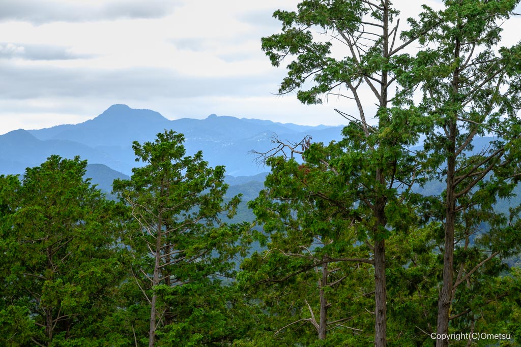 飯能・柏木山からの大岳山