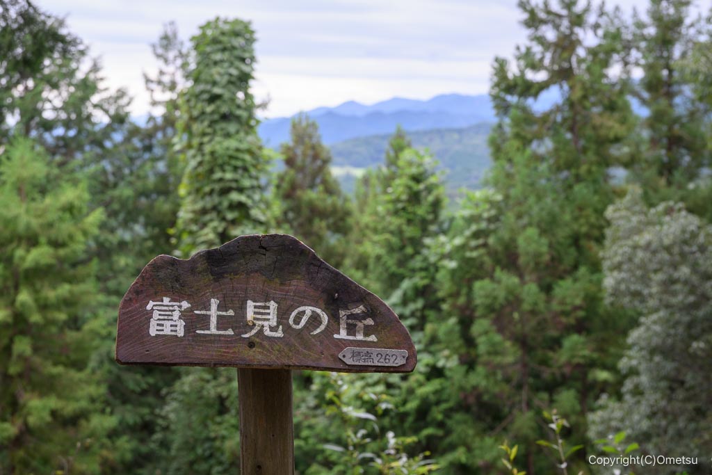 飯能・柏木山の富士見の丘