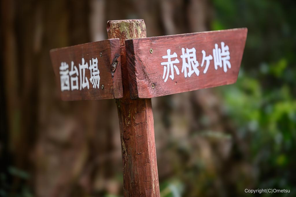 飯能・柏木山、赤根ヶ峠分岐