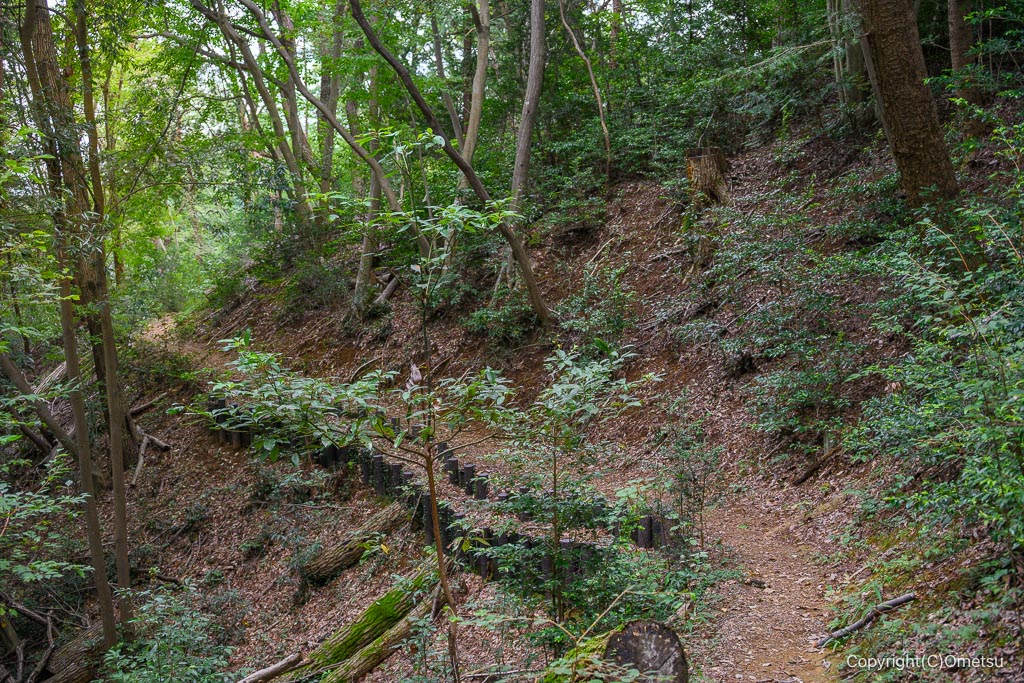 飯能・柏木山、赤根ヶ峠付近の登山道