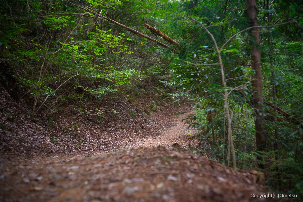 飯能・柏木山、赤根ヶ峠付近の登山道