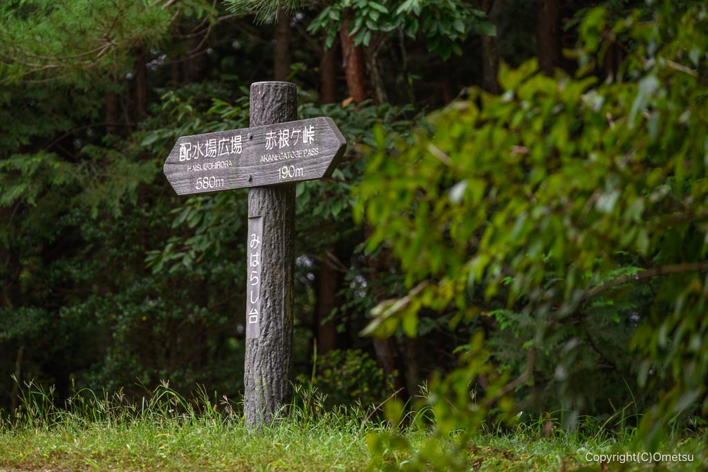 飯能・柏木山、見晴らし台