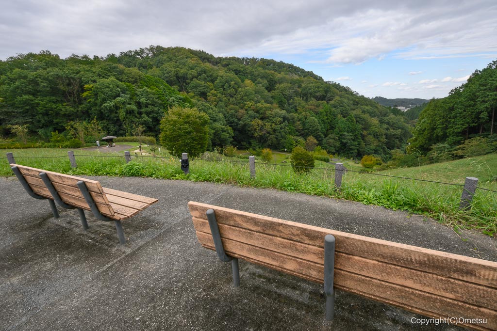 飯能・龍崖山公園の見晴らし台