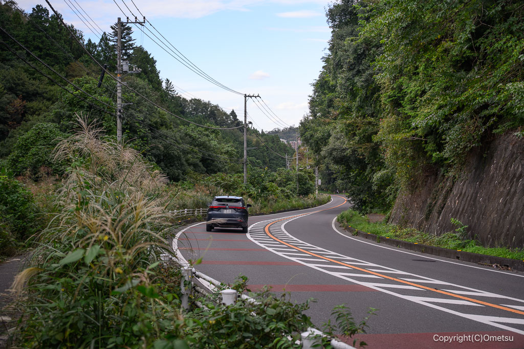 飯能・大河原調節池の県道