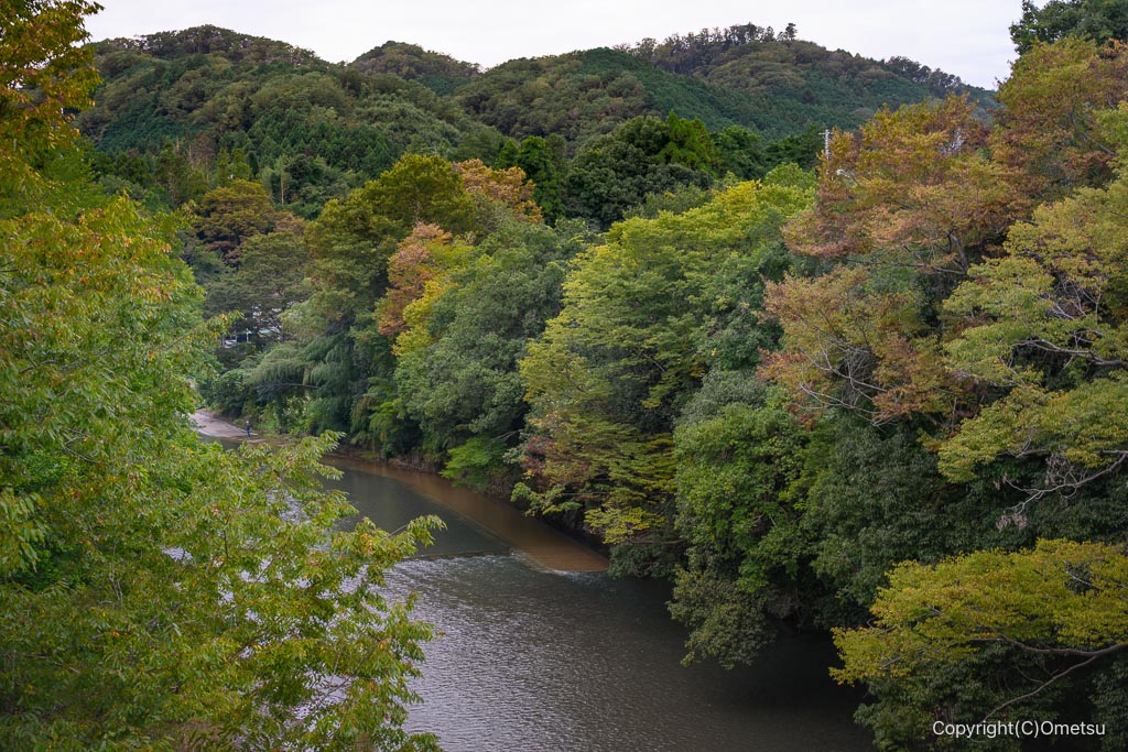 飯能・岩根橋からの入間川