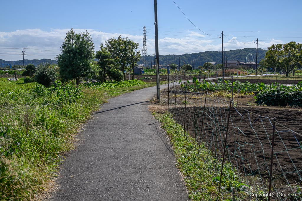武蔵引田駅近くの農道