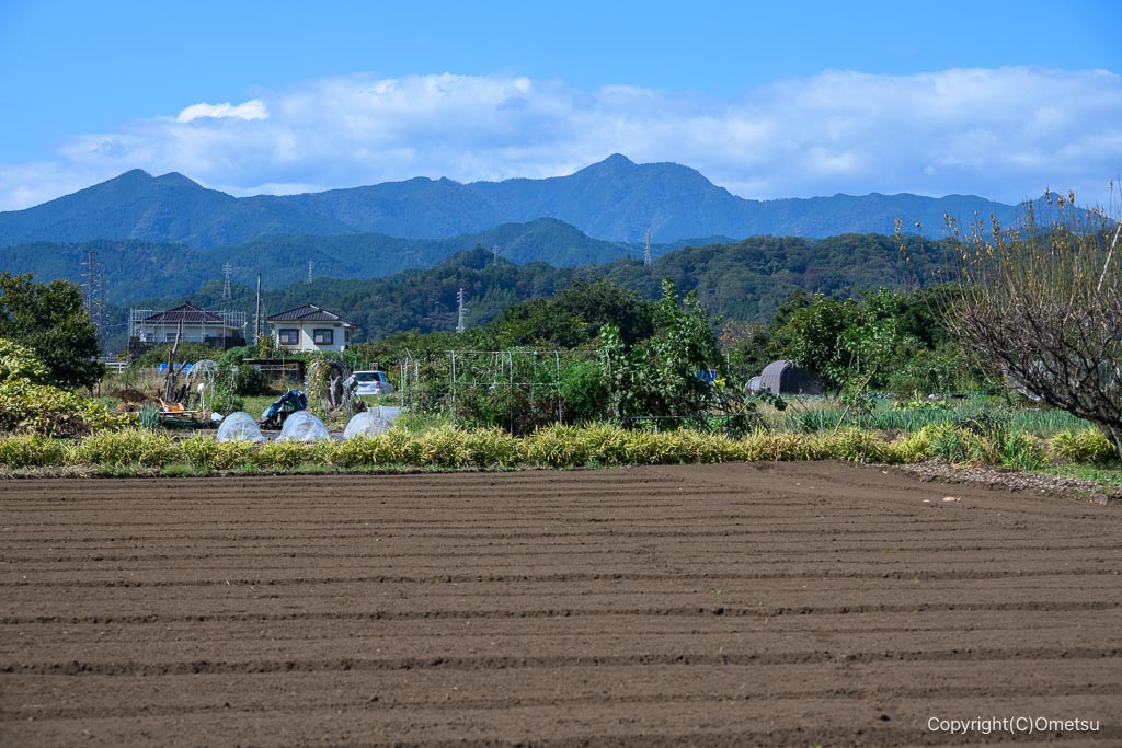 武蔵引田駅付近からの大岳山
