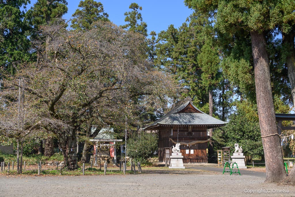 あきる野市・出雲大社の境内