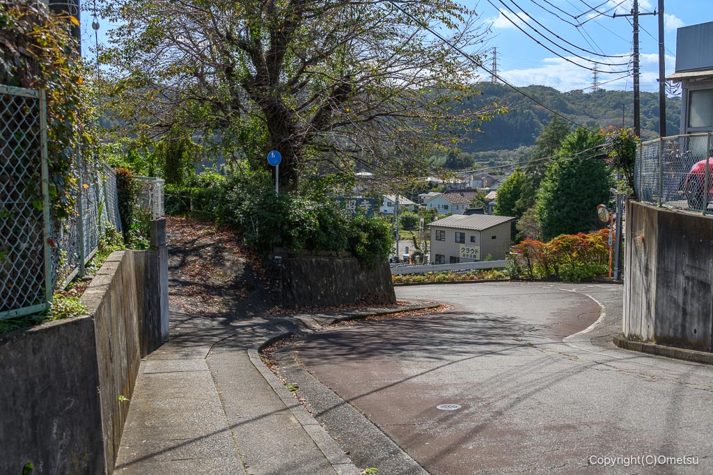 あきる野市・真照寺近くの坂道